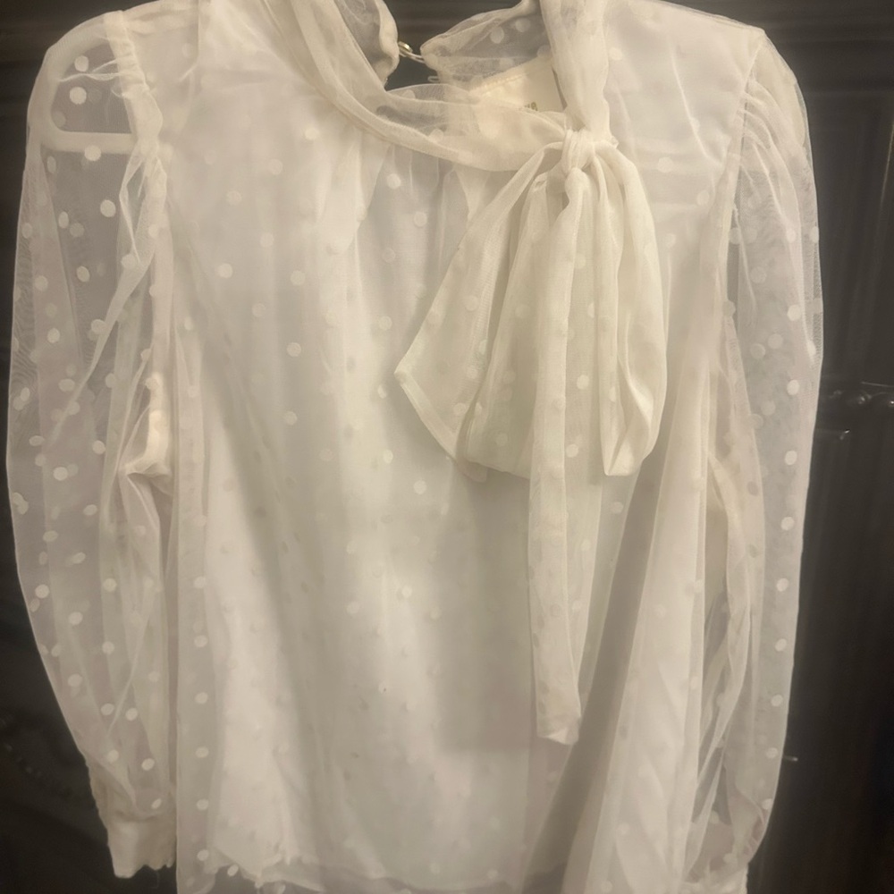Anthropologie White Polka Dot Sheer Blouse
